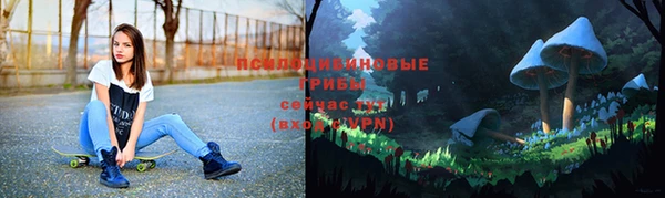 первитин Алексеевка