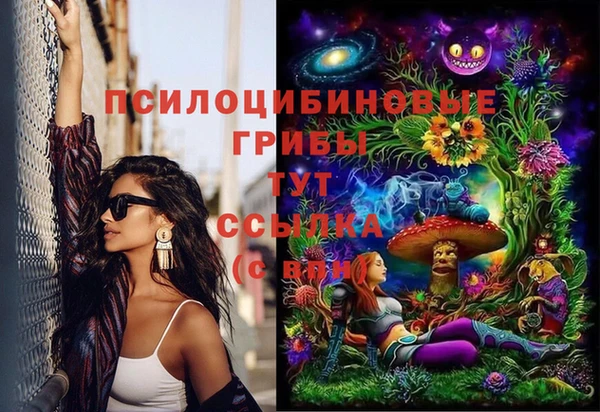первитин Алексеевка