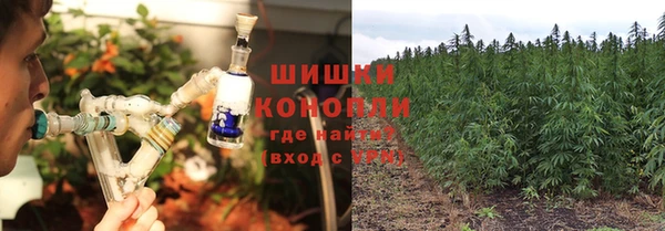 ПСИЛОЦИБИНОВЫЕ ГРИБЫ Рославль