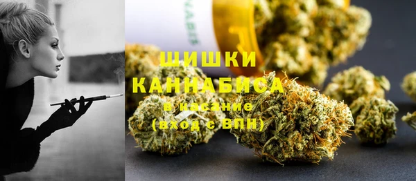 ПСИЛОЦИБИНОВЫЕ ГРИБЫ Алзамай