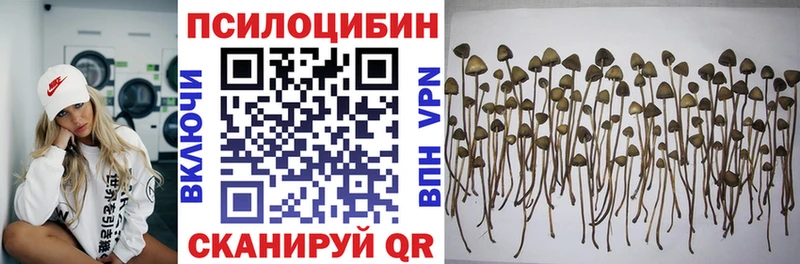 Псилоцибиновые грибы мухоморы где продают наркотики Глазов
